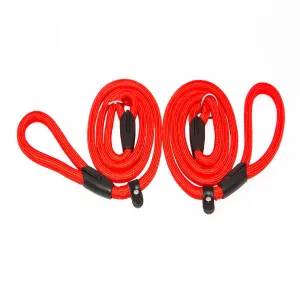 2 TRAINING SLIP LEASH