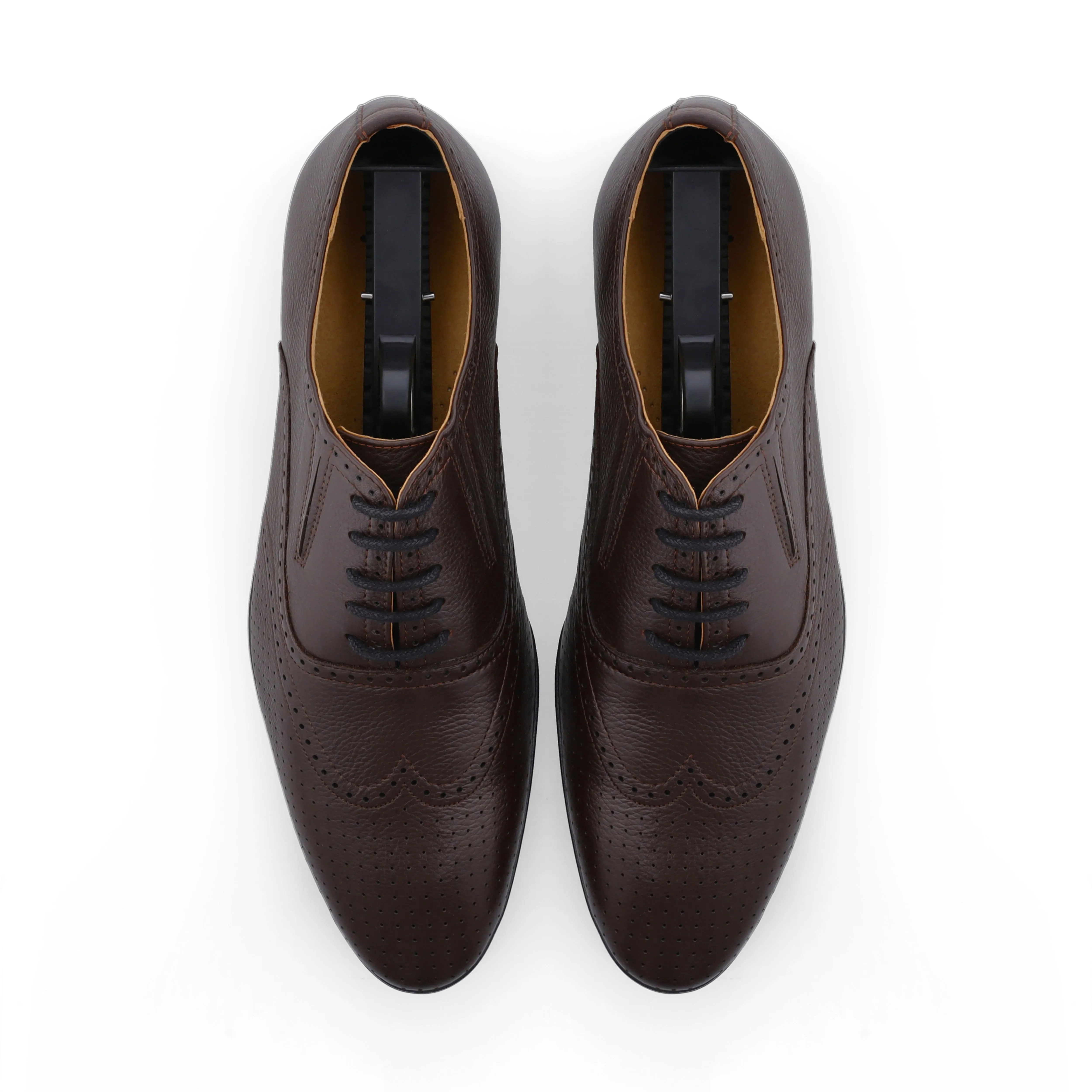 Brogue Dotted Oxfords-Brown