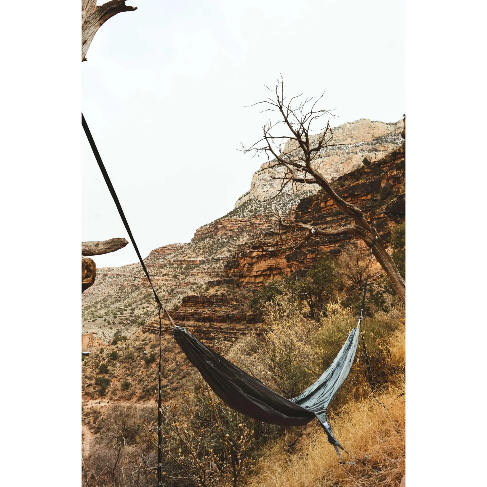 COASTAL CRADLE HAMMOCK™