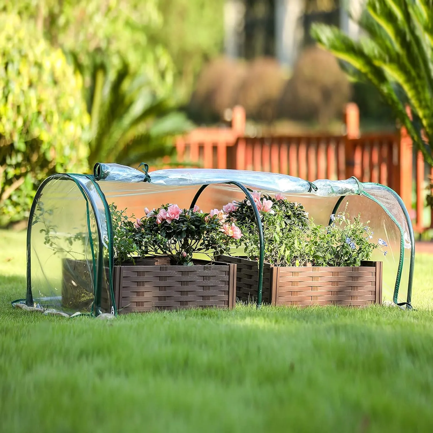 Garden Plant Flower Greenhouse Tunnel