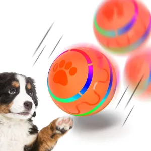 Peppy Pet Ball - Meet Zoom Zoom Fun! 🐾⚽