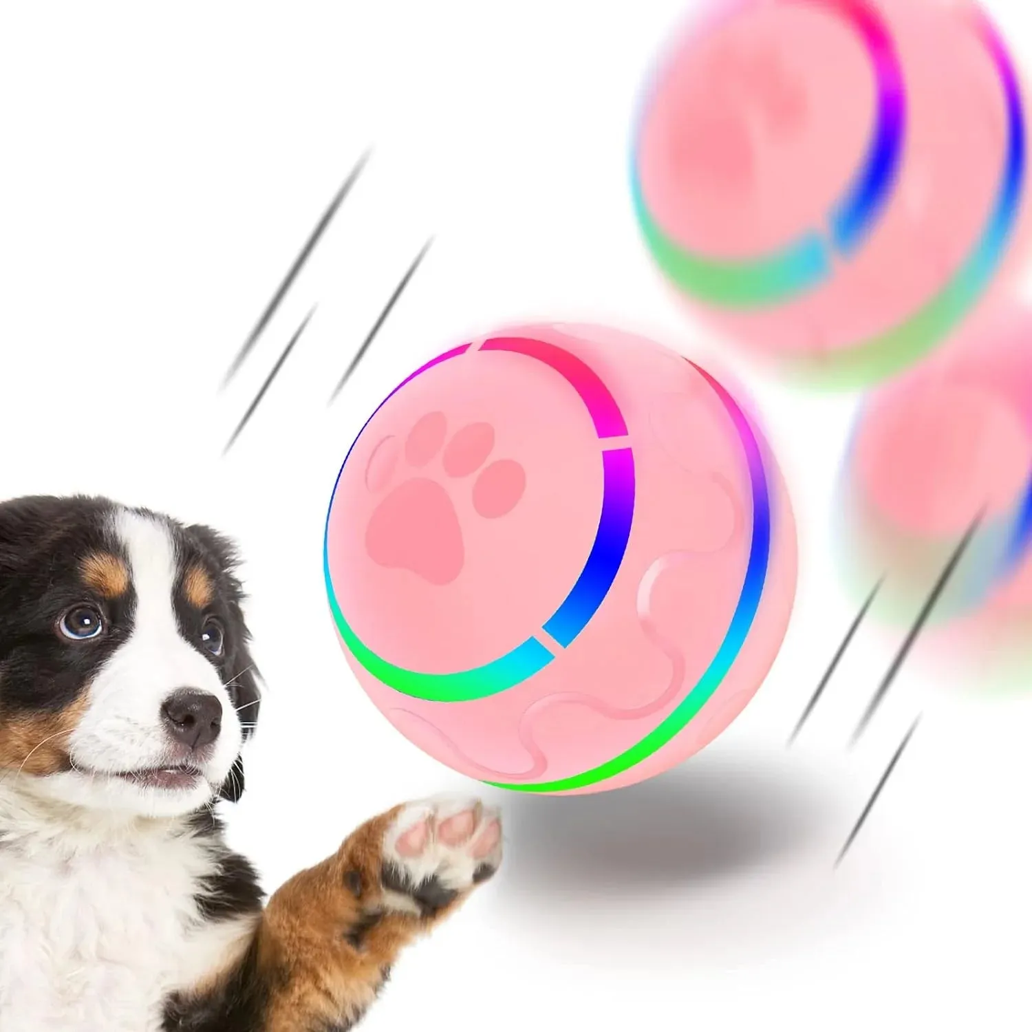 Peppy Pet Ball - Meet Zoom Zoom Fun! 🐾⚽