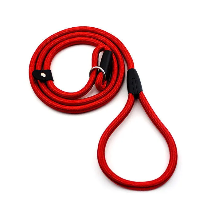 TRAINING SLIP LEASH