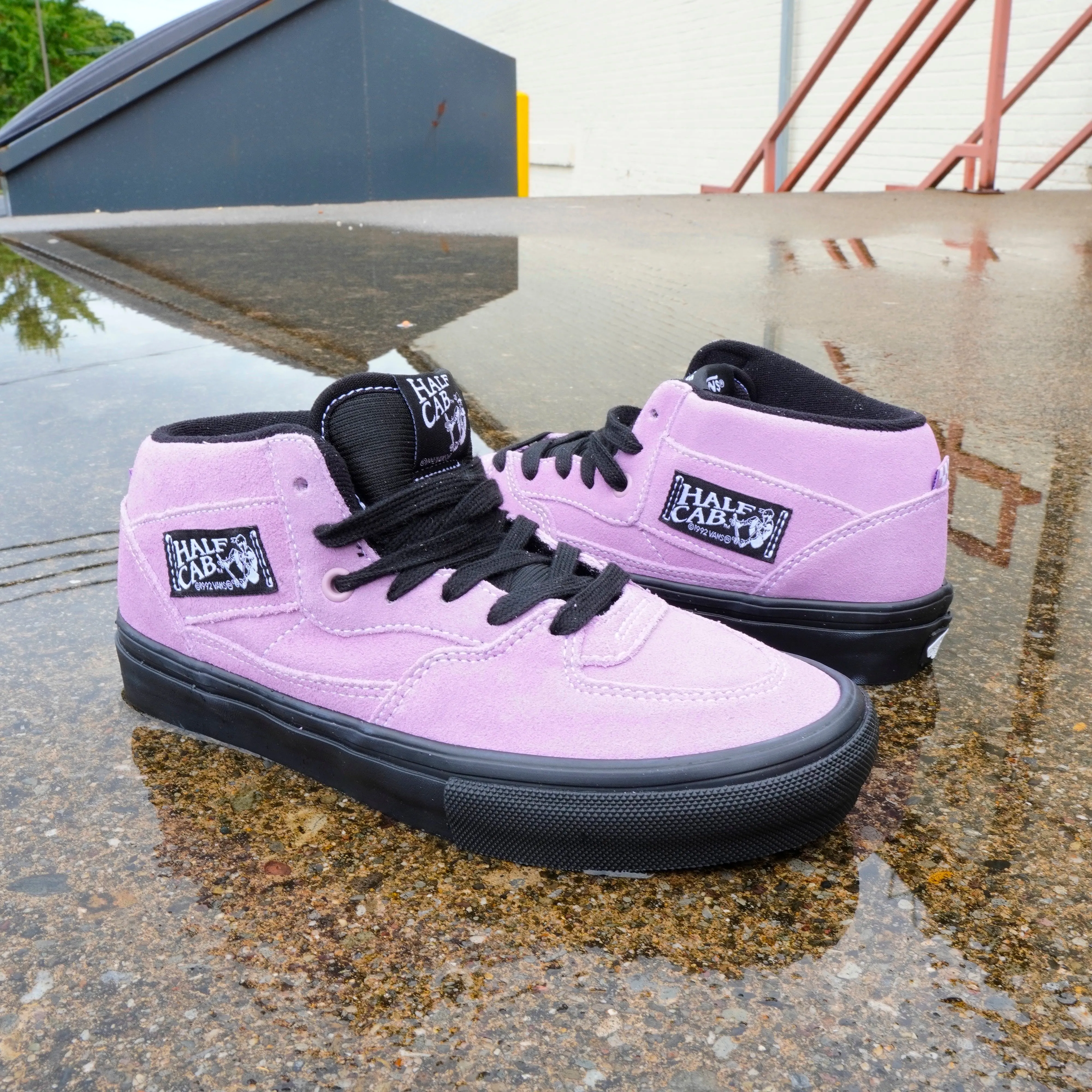 VANS FOOTWEAR HALF CAB LAVENDER BLACK