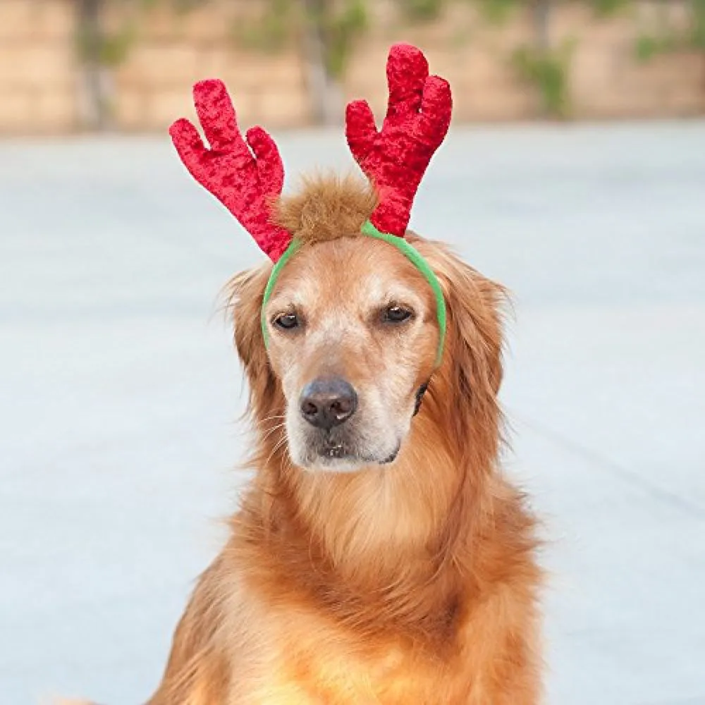 ZippyPaws Holiday LED Antler Headband